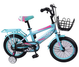 Children Bike  TY-TC1808